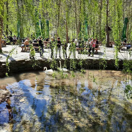 Komfortable- Modern Eingerichtete By Interhome Appartement Šibenik