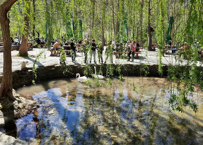 Komfortable- Modern Eingerichtete By Interhome 公寓 希贝尼克